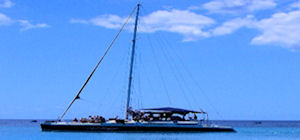 Cool Runnings Catamaran Cruise
